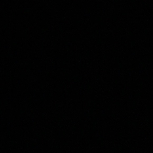 Meet your Posher, Caleigh - Picture 1 of 1